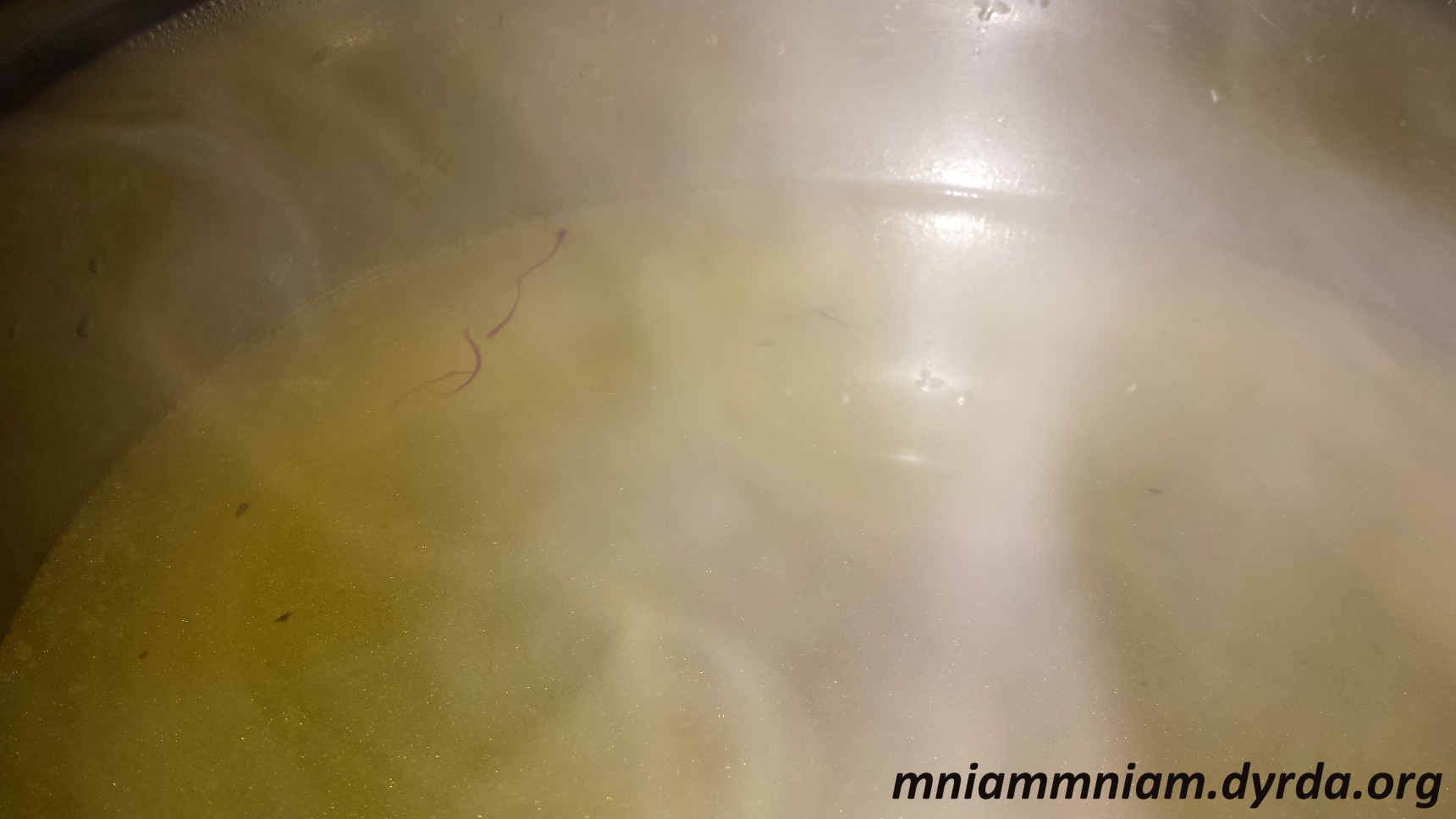 przepis, przepis na paellę, przepis paella dorsz, przepis paella, paella przepisy, przepis na paellę z cukinią, cukinia, dorsz, paella, dorsz z cukinią, paella z cukinią, paella z dorszem i cukinią, mniammniam, przepis mniam mniam, dorsz mniammniam, paella mniammniam, przepisy dyrda, jan dyrda